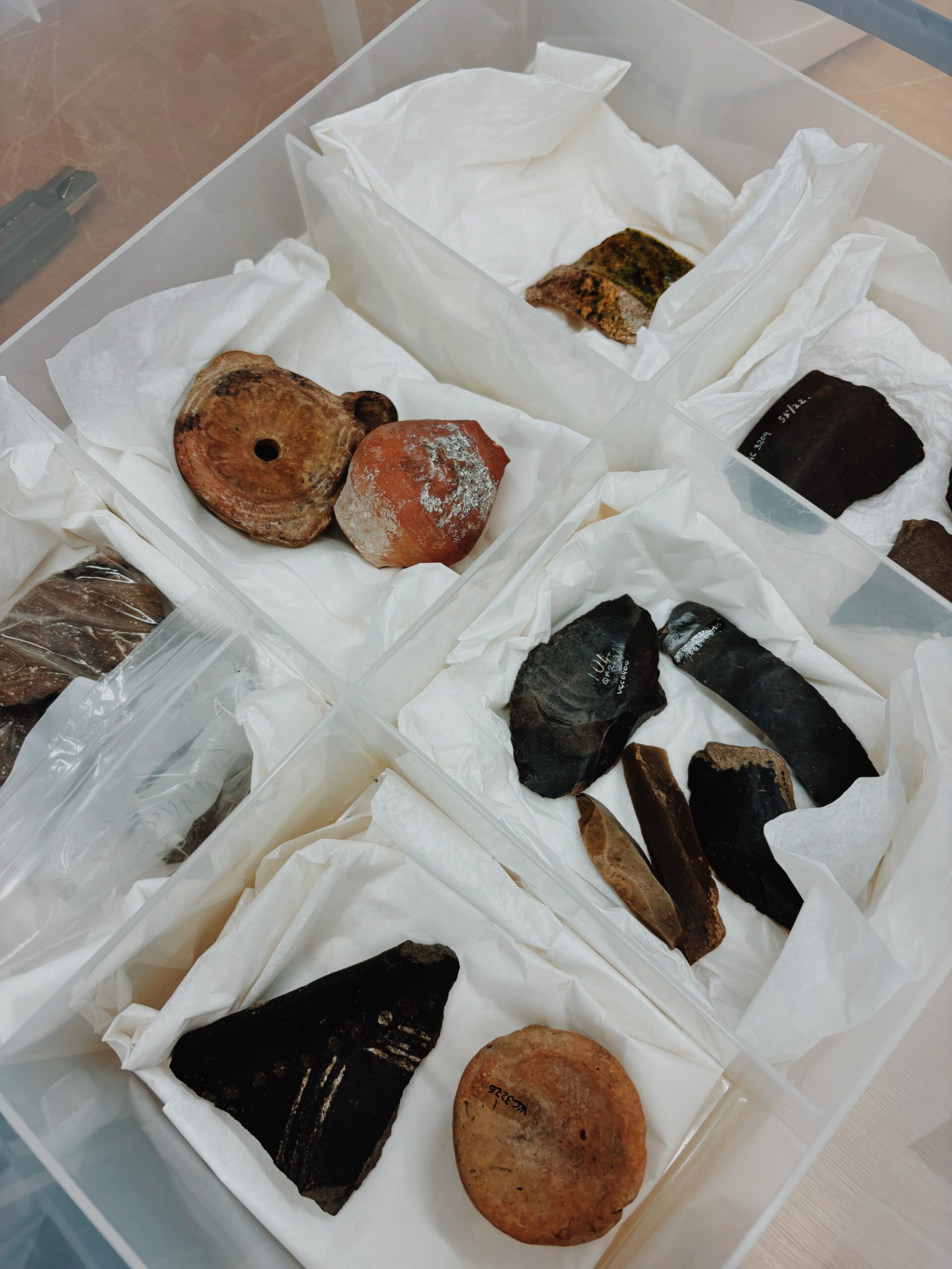 artefacts in boxes - 2 rows of boxes with a range of lithic and pottery